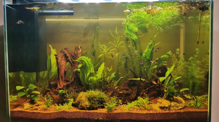 aquarium Home 110