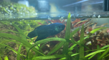 1 sec avant la catastrophe !