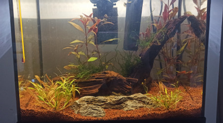 aquarium poissondavril 18L