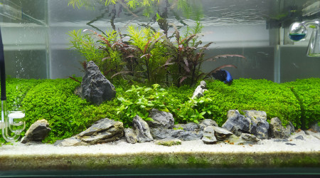 Photo du jour post nettoyage