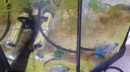 Bac hopital : nouveaux arrivés