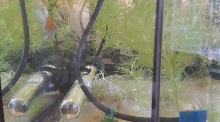 Bac hopital : nouveaux arrivés