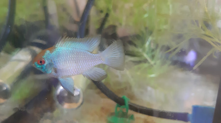 Bac hopital : nouveaux arrivés