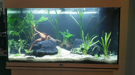 aquarium 125 L