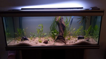 aquarium 400L salon