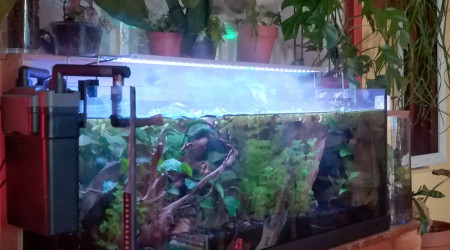 Quand le soir et la brume tombent.