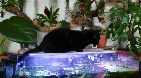 Le prochain changement d'eau, c'est lui qui le fait !