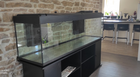 aquarium Biotope africain