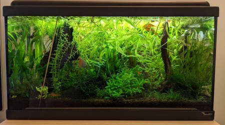 J'ai trié les lentilles!