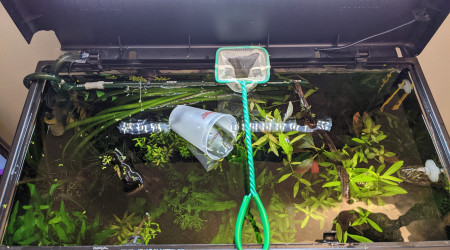 J'ai trié les lentilles!