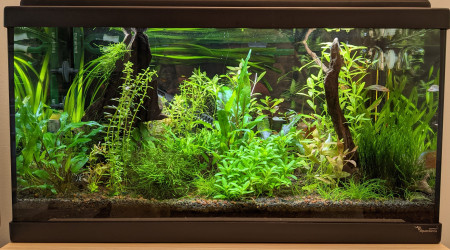 J'ai trié les lentilles!