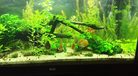 Changement de couleur