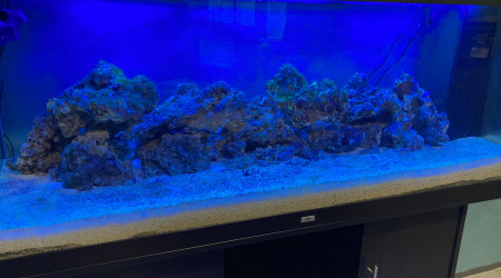 installation des tubes bleus