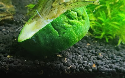 C'est l'heure du diner