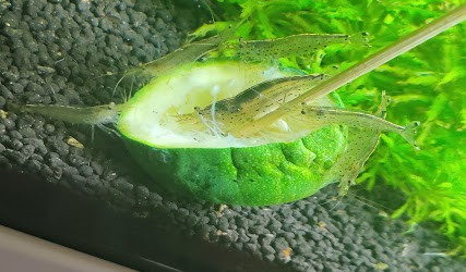 C'est l'heure du diner