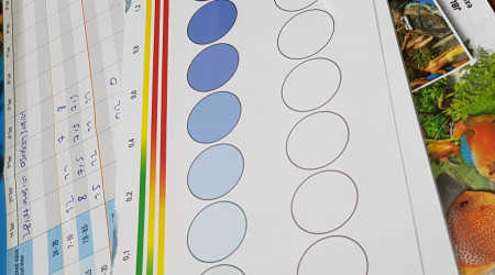 Je rêeeevaaaais.... D'un auuuuutreeeuh moooonde!