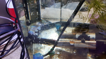 Bac hopital : 2ème ponte