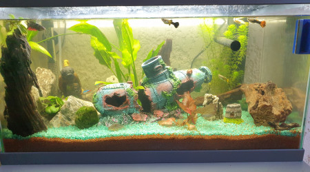 aquarium Two