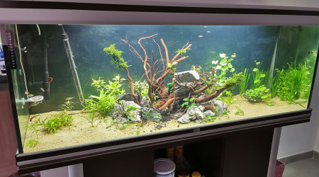 aquarium 450l