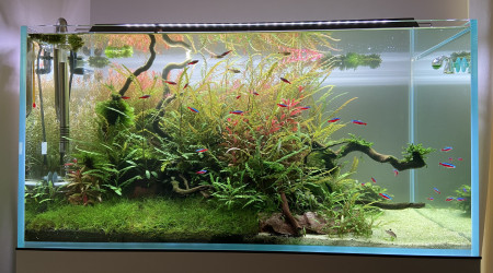 aquarium Optiwhite-250L