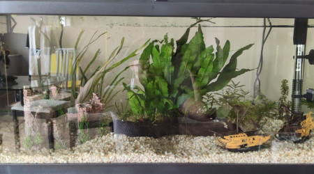 aquarium Aquarium 80L