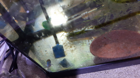 Bac hopital : 3ème ponte