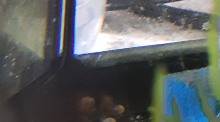 Bac hopital : 3ème ponte...