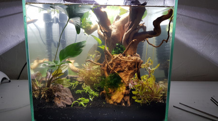 aquarium 33l betta