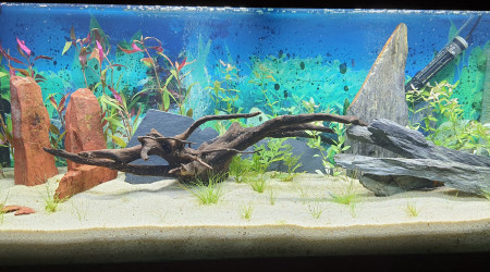 aquarium JUWEL RIO 240