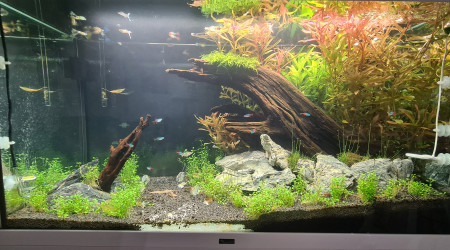 aquarium 200 l