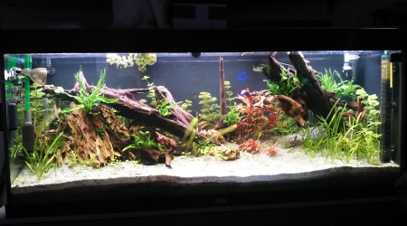 petite retouche du decor