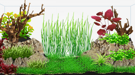 Projet de refonte décor