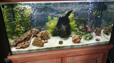 aquarium 350 litres