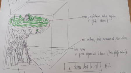 Concours scape (suite)