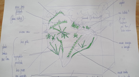 Concours scape (suite suite)