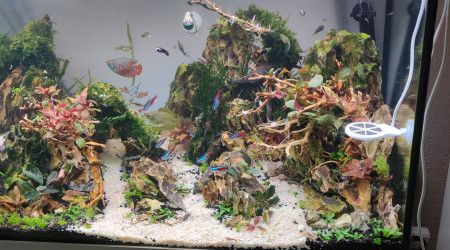 aquarium legros