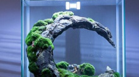 Fin concours scape 30litres