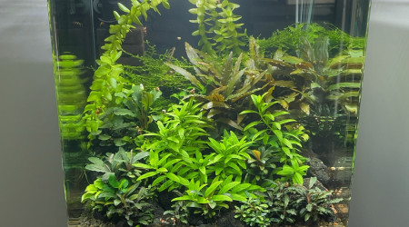 aquarium 30L