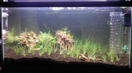 1er mise en eau avant changement de sol 28 avril 2021