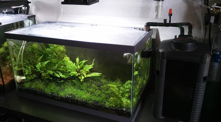 aquarium 55L la plaine