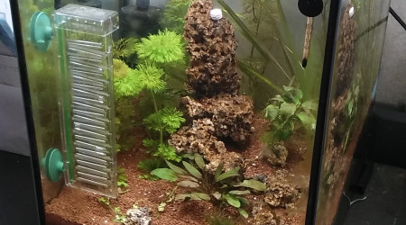 aquarium cube 30L