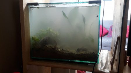 Lancement de l'aquarium