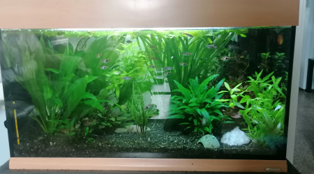 Dernier photo avant sont transferts