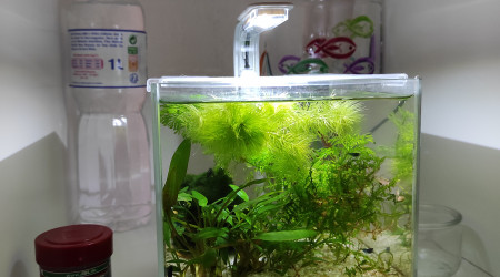 aquarium Pico 2 litres