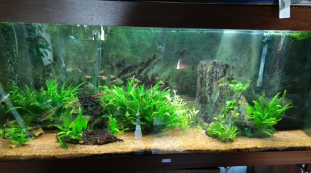 aquarium 450litre