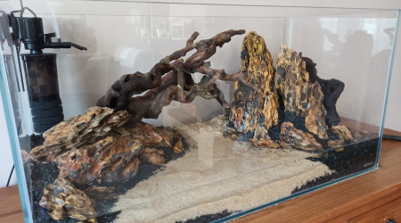 Ajout Ceps de vignes