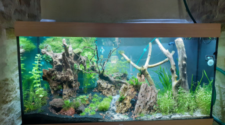 aquarium trouve ton chemin