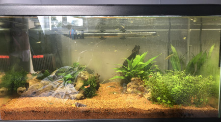 aquarium 60L