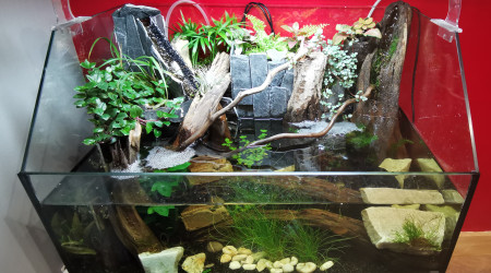 aquarium Paludarium