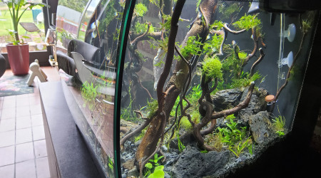 Myfirstone petit nettoyage